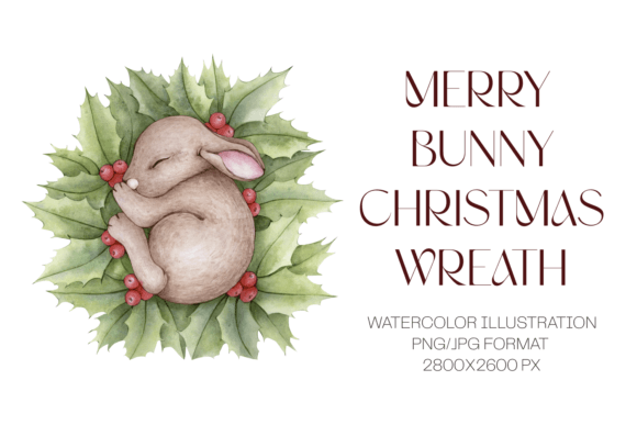 Christmas Sleeping Bunny in Holly Branch Illustrations Review